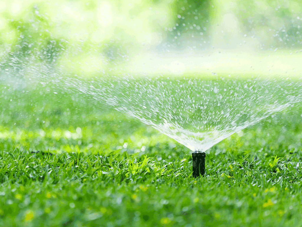 Irrigation System Installation